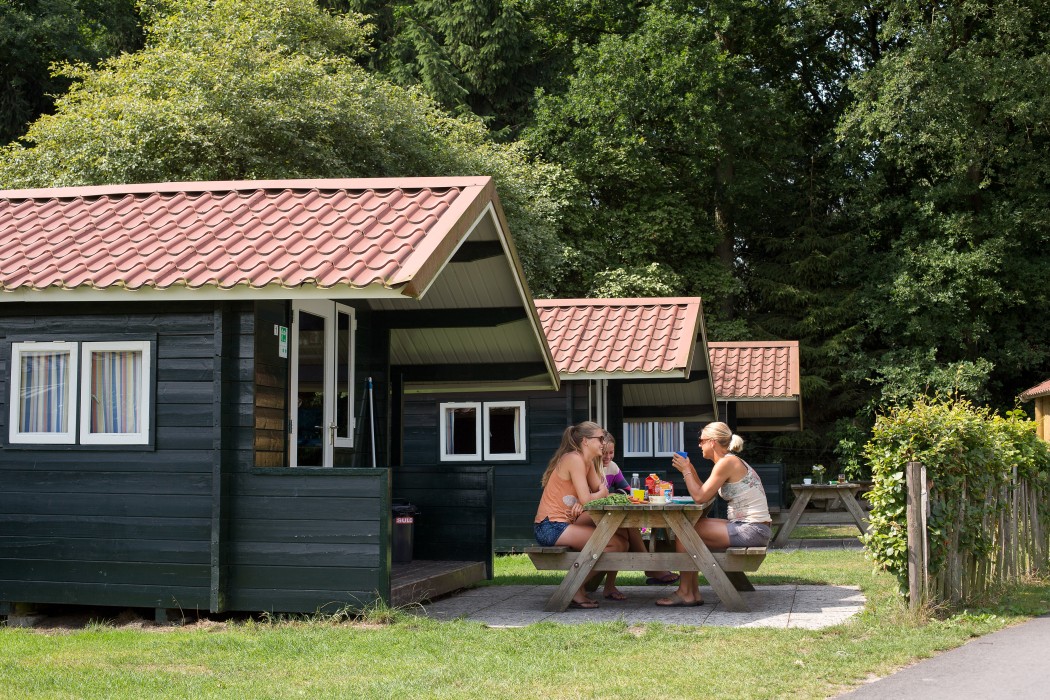 Camping De Noetselerberg in Nijverdal Overijssel - Afbeelding 2