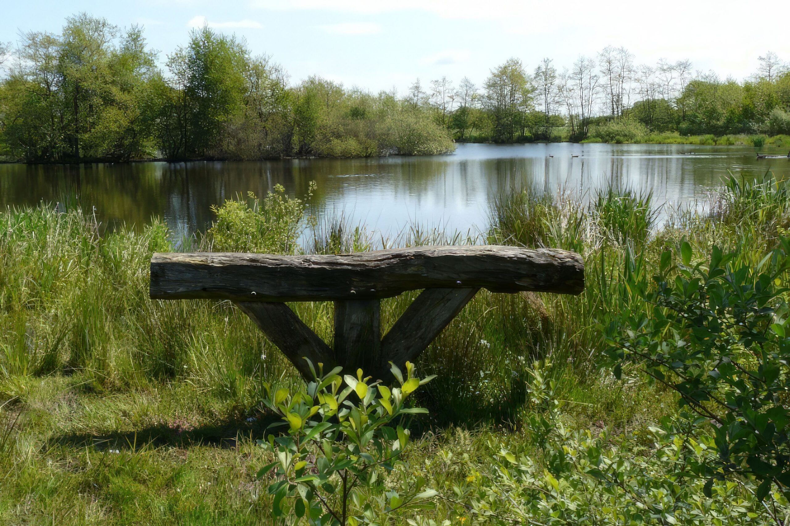 Camping De Wedze in Twijzel Friesland - Afbeelding 3