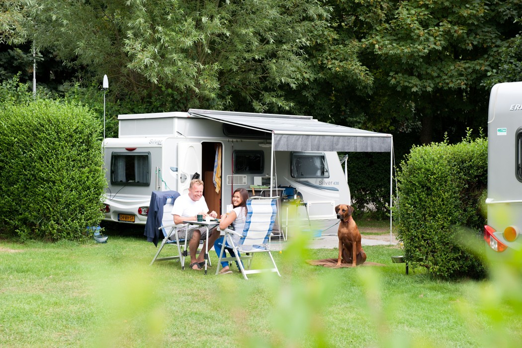 Camping Duinoord in Burgh-Haamstede Zeeland - Afbeelding 2