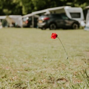 Camping Si Es An in YES true - rentatentnederland.nl