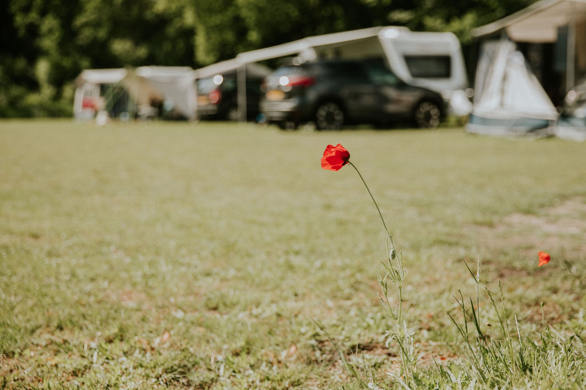 Camping Si Es An in YES true - rentatentnederland.nl