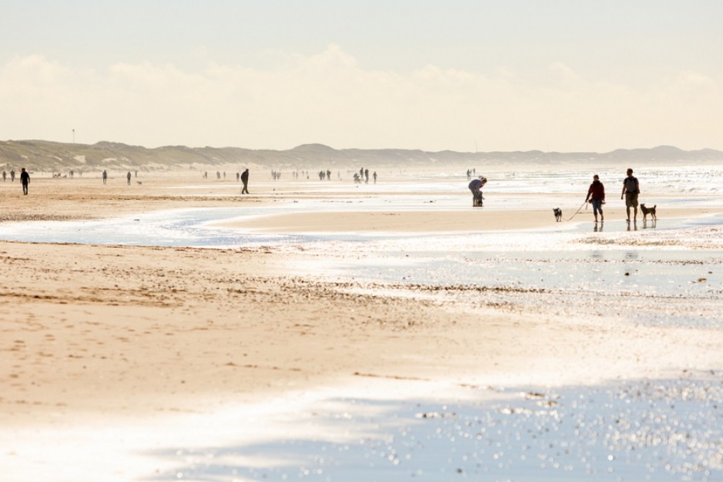 Camping Sint Maartenszee in Sint Maartensvlotbrug Noord-Holland - Afbeelding 2