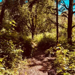 Campspace Twintigboender in Born