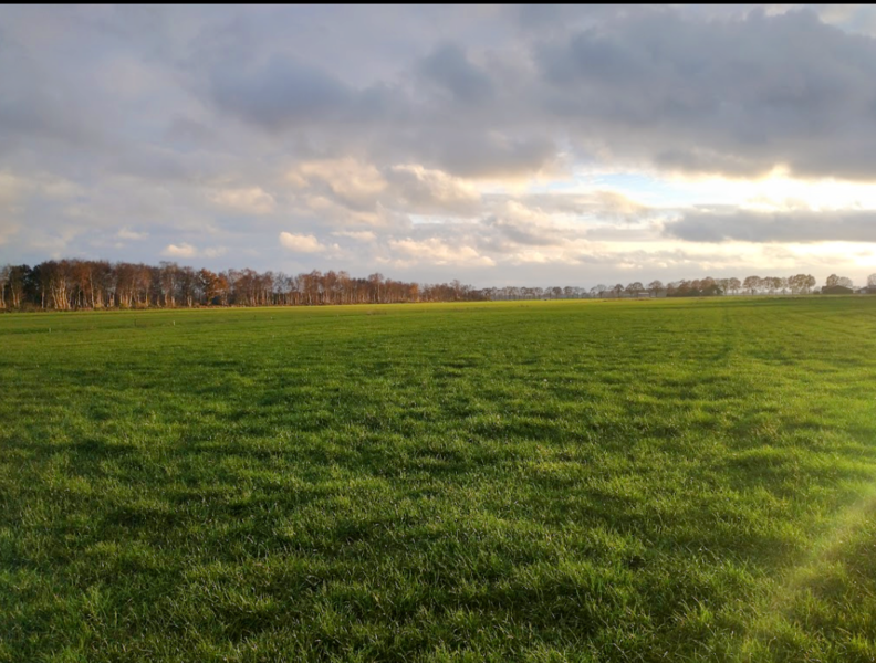 Campspace in Hardenberg