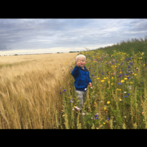 Campspace in Ingwierrum