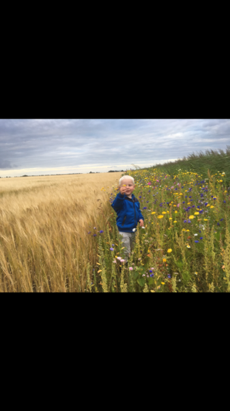 Campspace in Ingwierrum