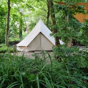 Cleygaerd Natuurcamping een groene oase. Lelystad