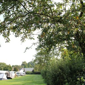 De Betuwe Hoeve in Ommeren Gelderland