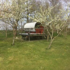 De Huifkar. Warstiens