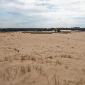 EuroParcs De Wije Werelt in YES true - rentatentnederland.nl