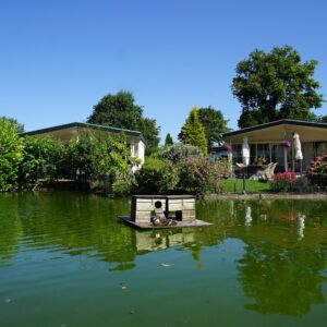 EuroParcs Molengroet in YES true - rentatentnederland.nl