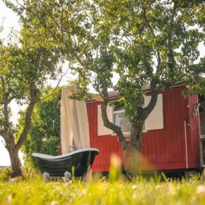 Genieten in onze luxe tipi's of pipowagen - Gelderland. Zennewijnen