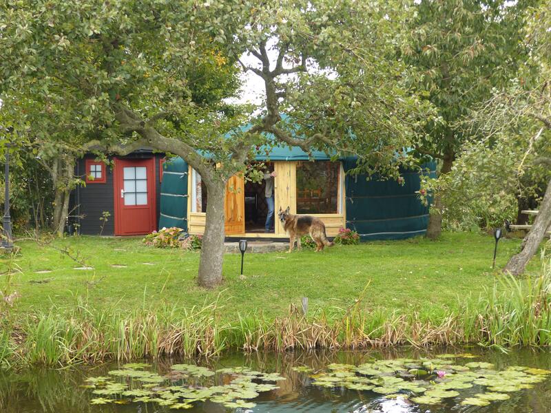 Gezellige yurt in Hoogmade. Hoogmade