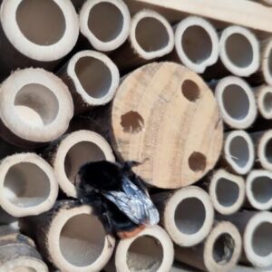 Grote tuin dichtbij wandelroute Pieterpad LAW9. Spaubeek