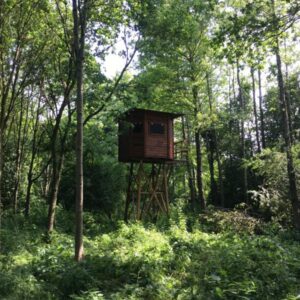 Het Hak Hout: Vogelhut in de buurt van de Utrechtse Heuvelrug. Overlangbroek