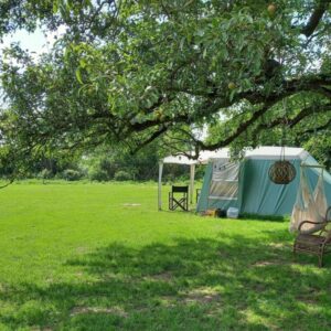 Kamperen op de boerderij in wandel- en fietsgebied vlakbij de IJssel en Veluwe.. Welsum