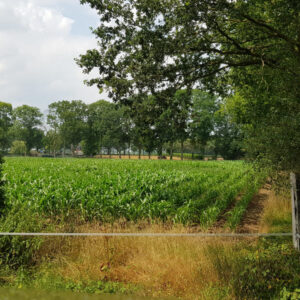 Lommstead aan Natuurpark de Maasduinen.. Lomm