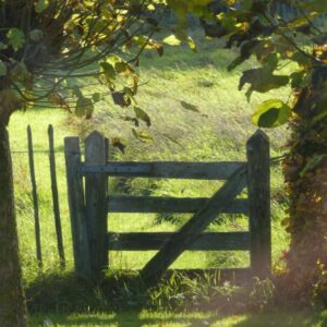 Microcamping De Scheiwal. Sint Hubert