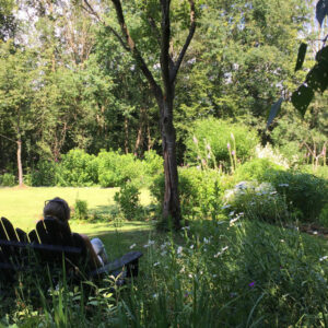 Mijn tuin in de Zoeke