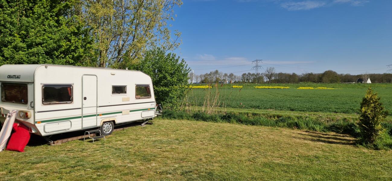 Minicamping de Pelikaan onder de Walnoot. Klundert
