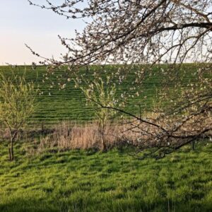 Mooie en rustige kampeerplek in de buurt van Bemelen