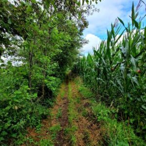 Onze tuin als herberg. Oosterwolde