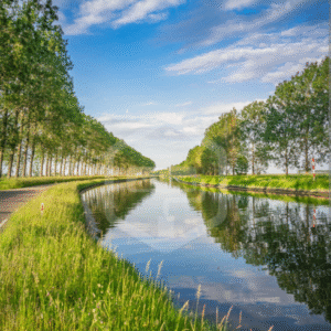 Prachtige groene kampeerplek aan het water!. Wilhelminadorp
