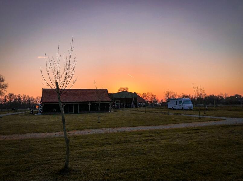 Prachtige rustige Camping in de Betuwe aan de Hollandse Waterline. Vuren