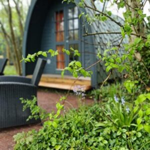 Relaxen in de natuur. Opende