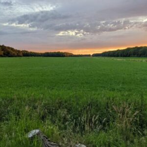 Ruime privé camperplek met mooi uitzicht. Nieuwlande