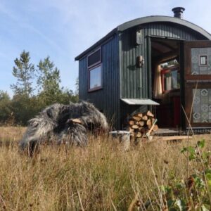 Sheperdshut Keetje bij heide natuurgebied. Mantinge