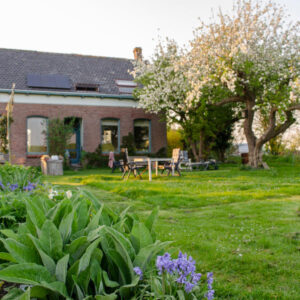 Sleep between chickens and books near the forest and the Veerse Meer. Wolphaartsdijk
