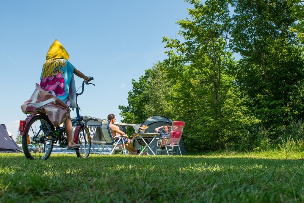Vakantiepark 't Rheezerwold in Hardenberg Overijssel - Afbeelding 4