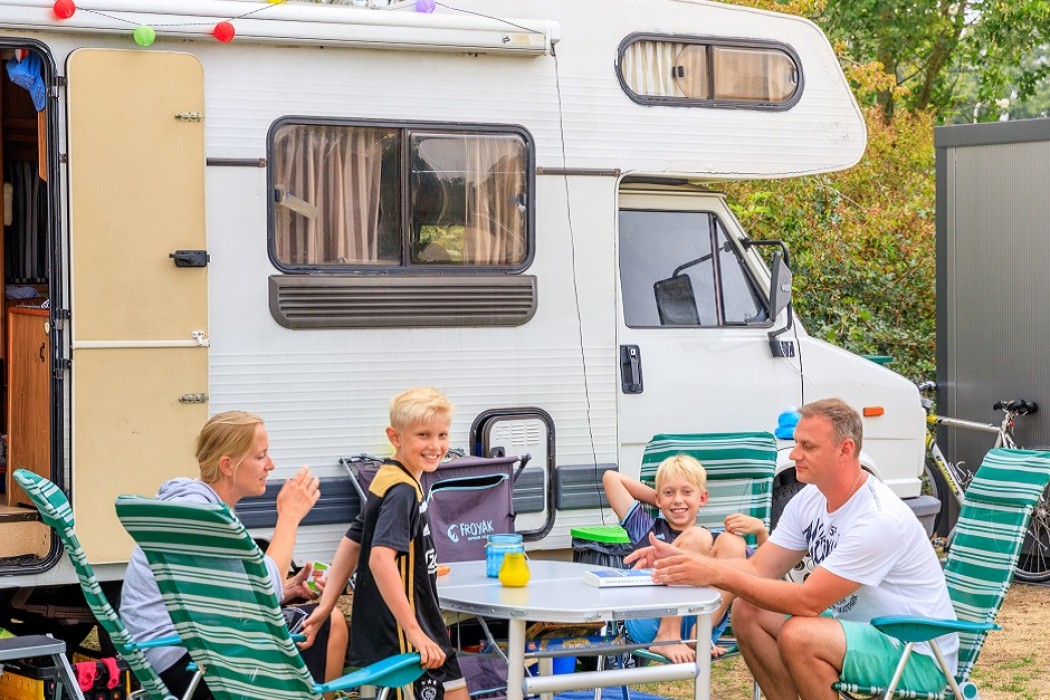 Vakantiepark 't Rheezerwold in Hardenberg Overijssel - Afbeelding 5