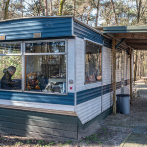 Vogeltjes fluiten. HARFSEN