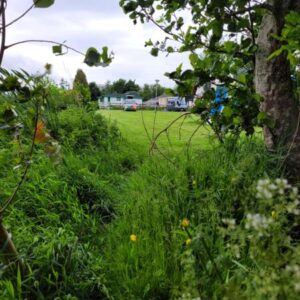 Vrij camperen midden in Friesland. nabij Jour nabij bossen