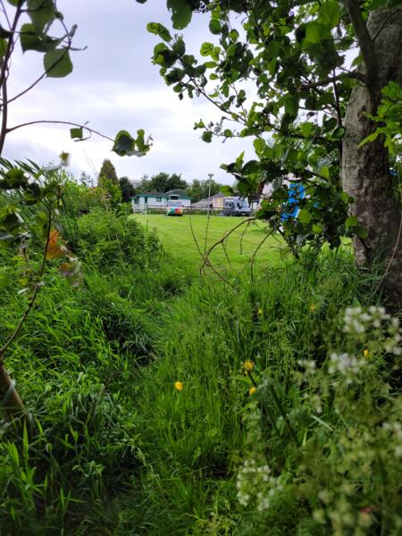 Vrij camperen midden in Friesland. nabij Jour nabij bossen