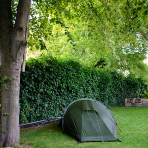 Welkom in onze achtertuin. Welcome to our back yard.. Rotterdam