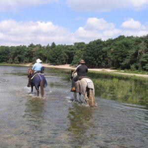 Camping De Heibloem in YES true - rentatentnederland.nl