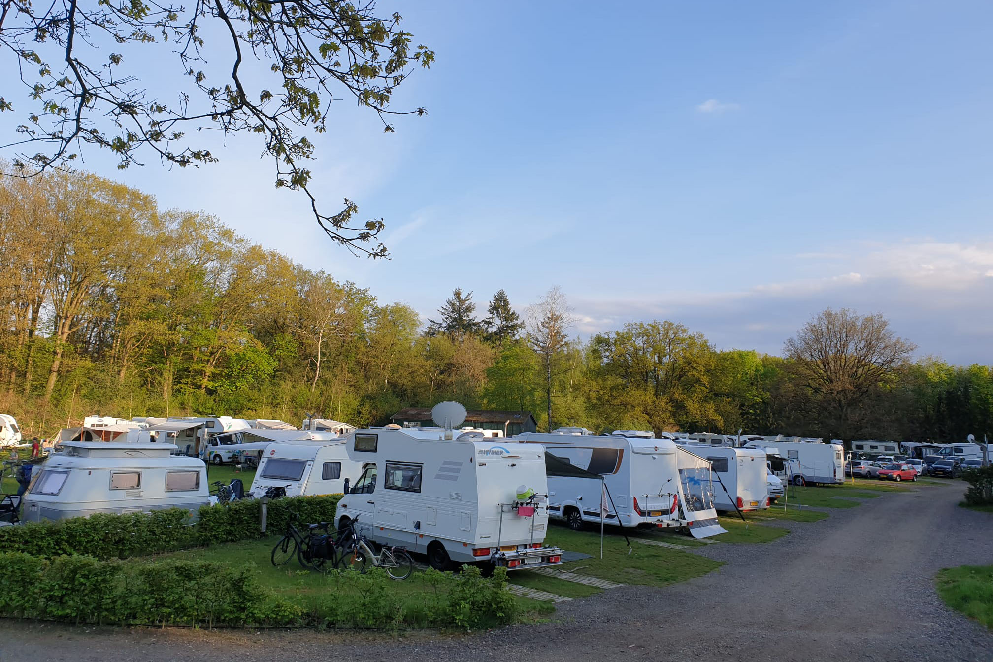 Heidepark Veluwschkarakter in Vierhouten Gelderland - Afbeelding 3