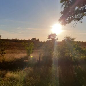 Heidepark Veluwschkarakter in YES true - rentatentnederland.nl