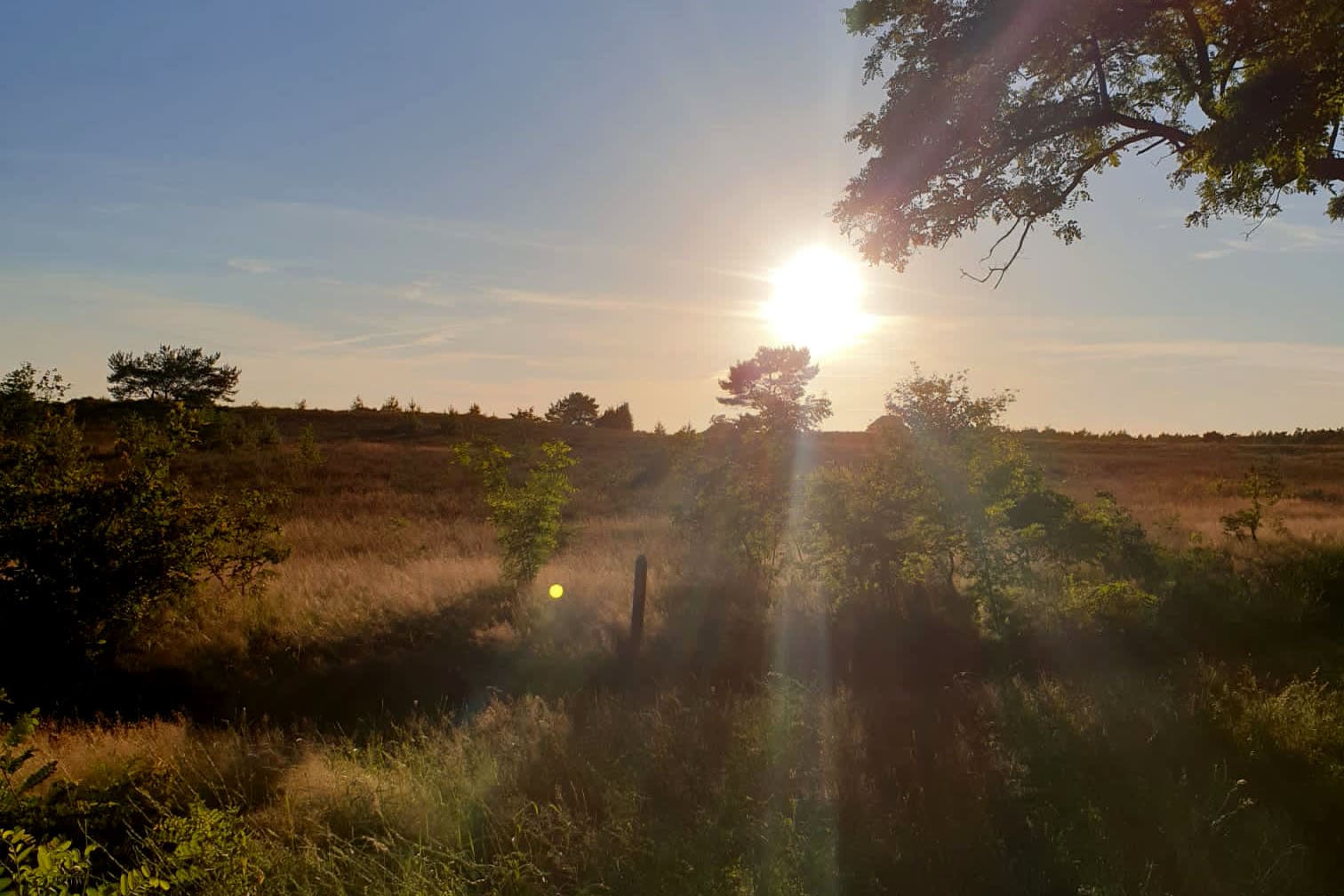 Heidepark Veluwschkarakter in YES true - rentatentnederland.nl
