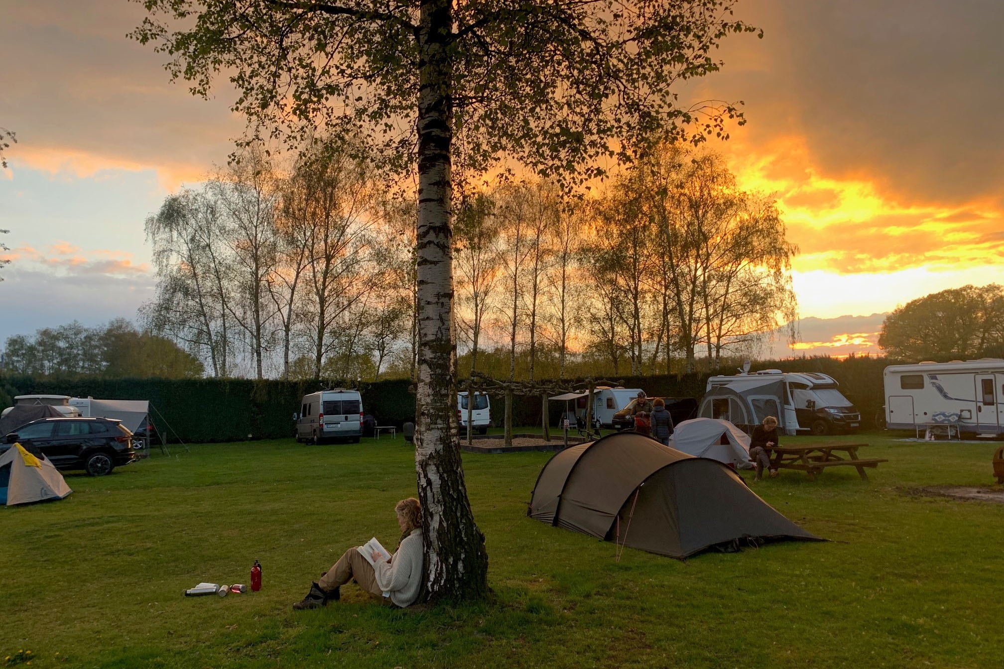 Camping Halve Maan in Well Limburg - Afbeelding 2