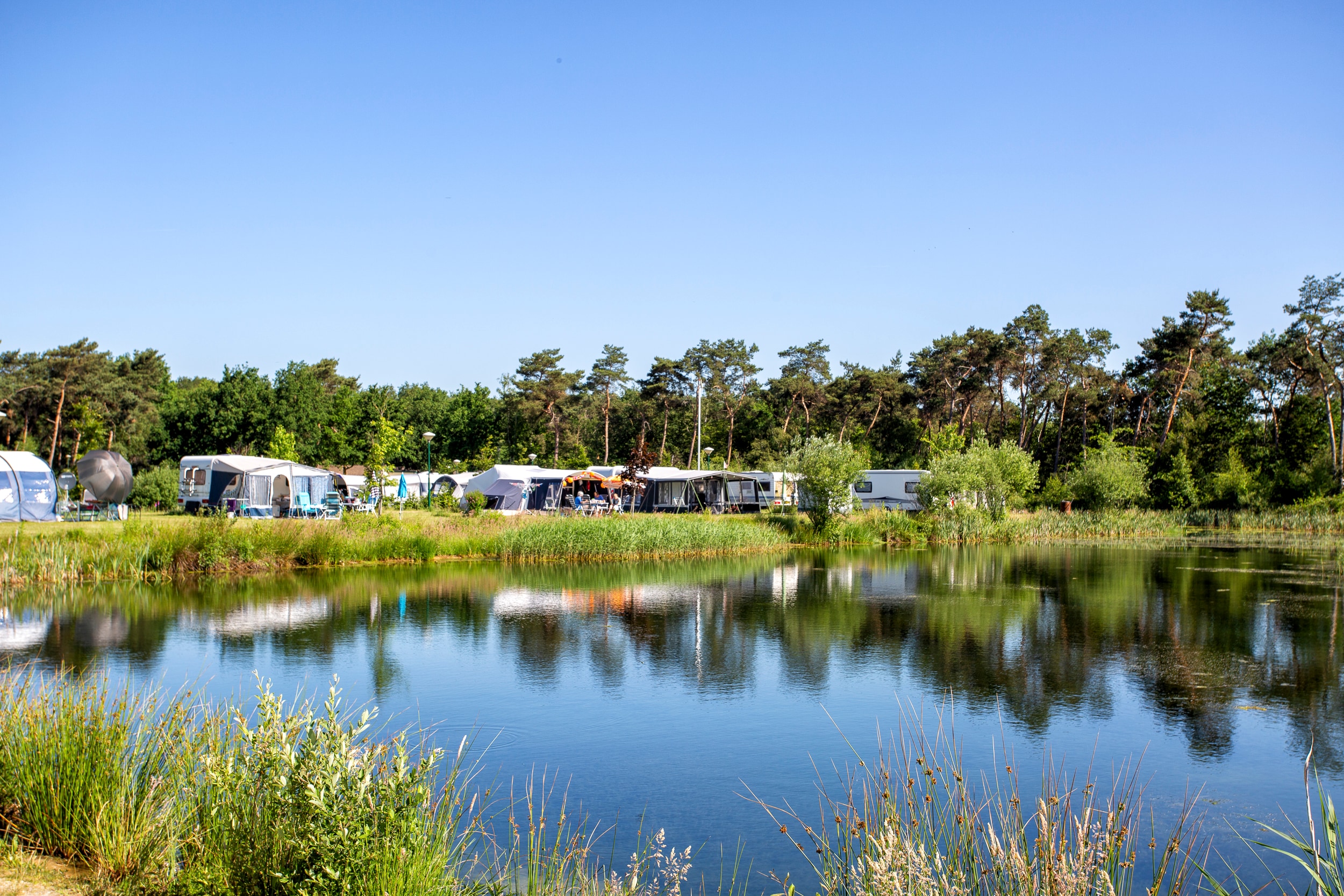 ParcCamping de Witte Vennen in Venray Limburg - Afbeelding 2