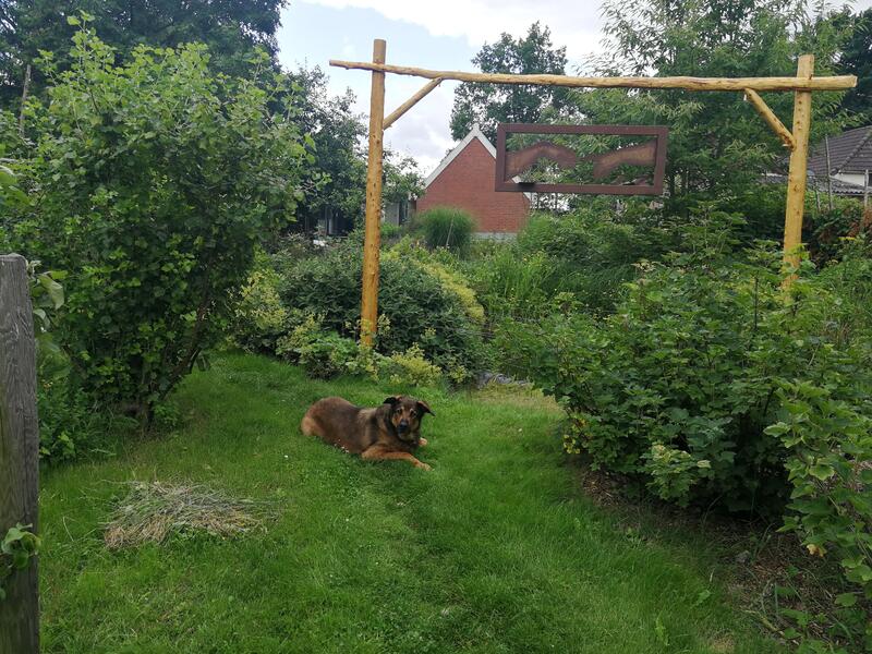 Kamperen in eetbare fruittuin. Drouwenermond