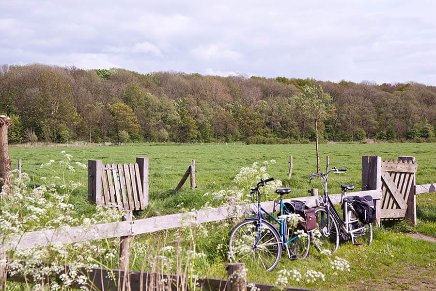 Minicamping Pitteperk in Koudekerke Zeeland - Afbeelding 3