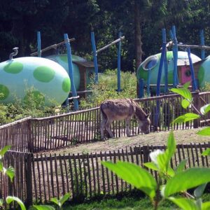 Veluwe camping 't Schinkel in YES true - rentatentnederland.nl