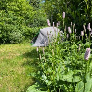 Alleen voor Fietsers en Wandelaars - Ruime parkachtige tuin. Hooge Zwaluwe