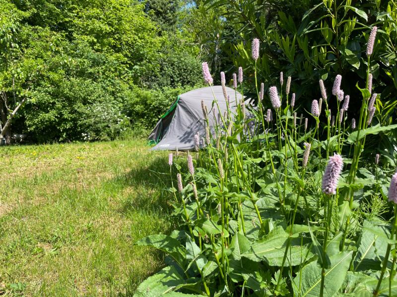 Alleen voor Fietsers en Wandelaars - Ruime parkachtige tuin. Hooge Zwaluwe