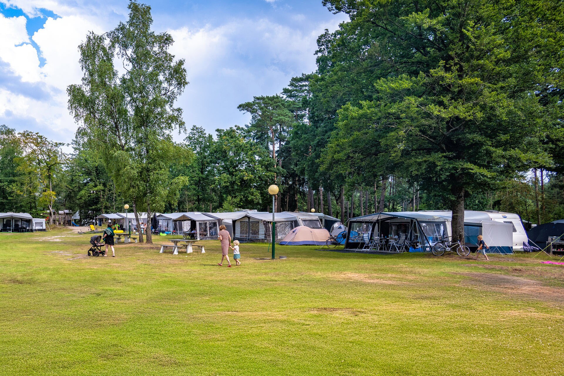 Siblu camping de Tol in Nunspeet, Gelderland - Afbeelding 4